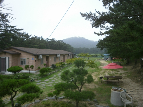 그린하우스