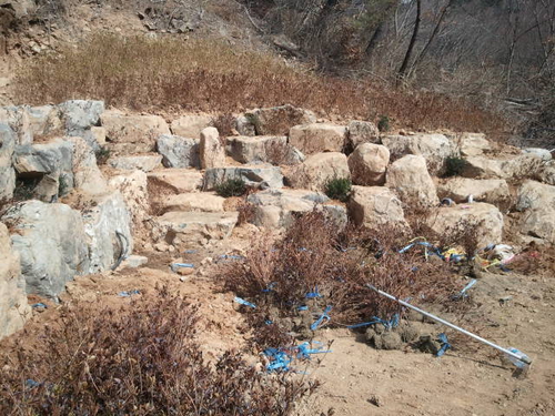 은성조경개발