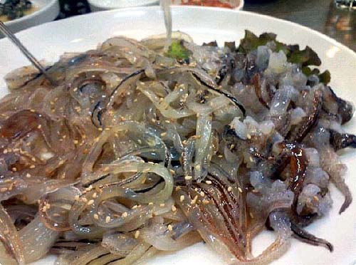 바다애산오징어