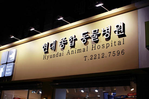 현대종합동물병원