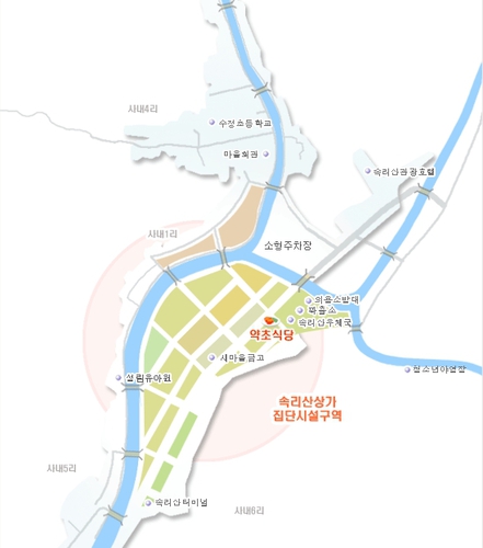 신토불이약초식당