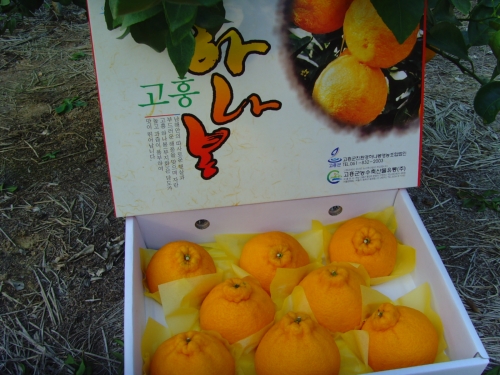 성준농원
