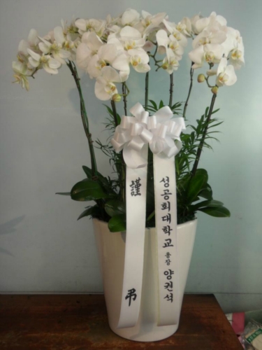 환희꽃화원