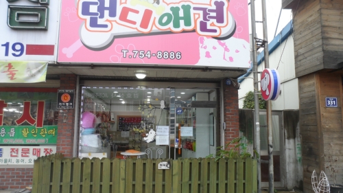 댄디애견