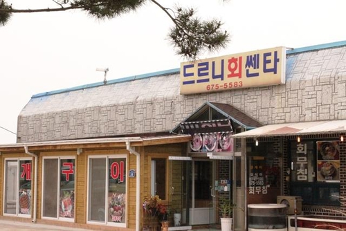 드르니회센타