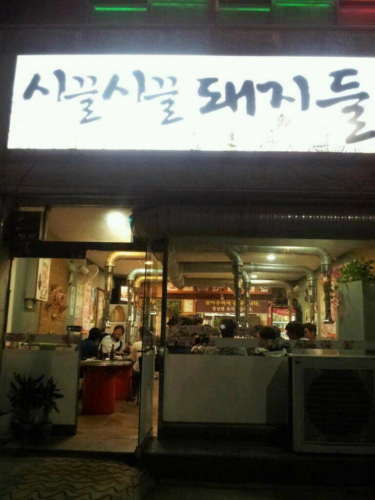 시끌시끌돼지들