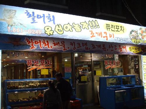 유신아놀자