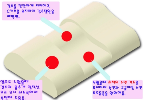 에스앤디
