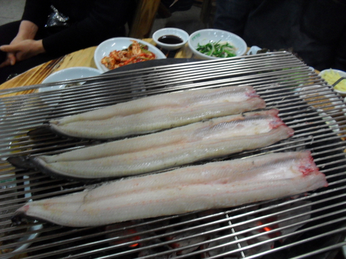 강천장어