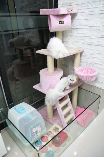 구로종합동물병원 전경