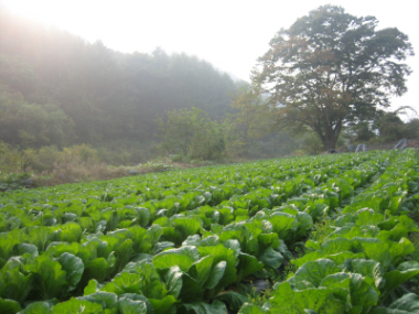 웰빙토성농원