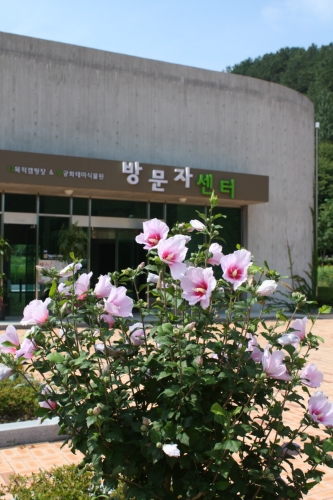 고산 무궁화 오토캠핑장