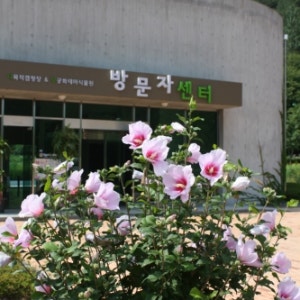고산 무궁화 오토캠핑장