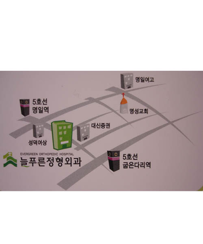 늘푸른정형외과의원