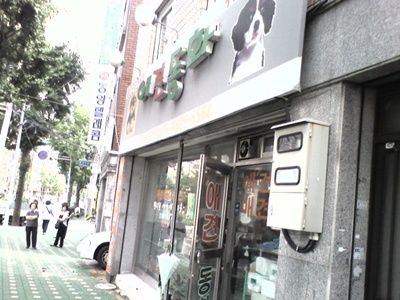 애견동화