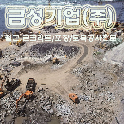 금성기업