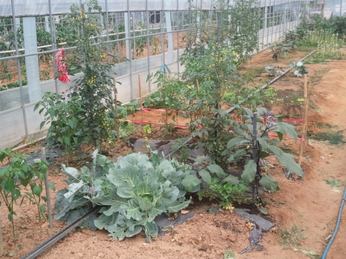 청산농원
