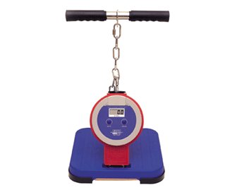 동아스포츠과학 대표 이미지