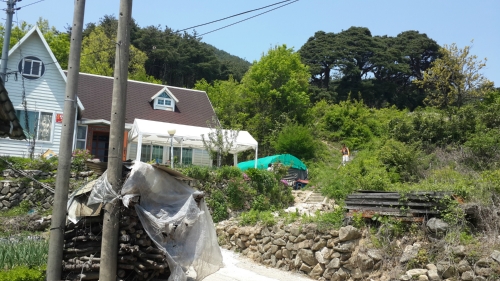 소나무민박
