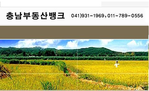 충남공인중개사사무소