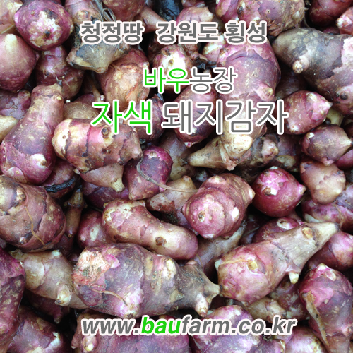 바우농장
