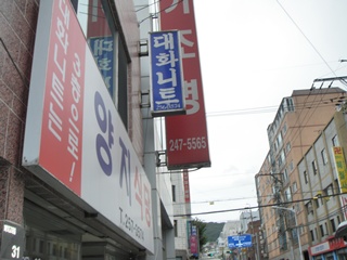 대화니트