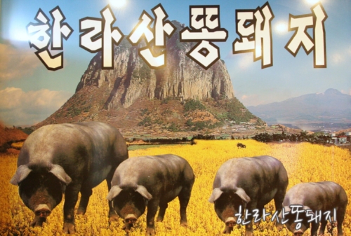 원조한라산똥돼지일산본점