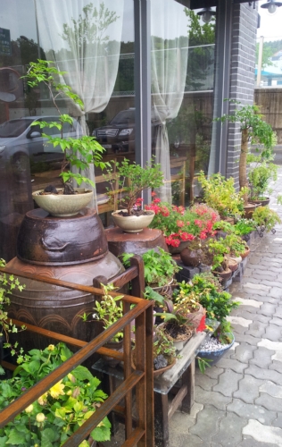세실