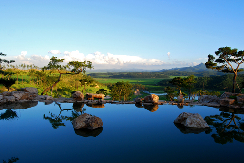 선인골프 대표 이미지