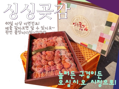 싱싱청과
