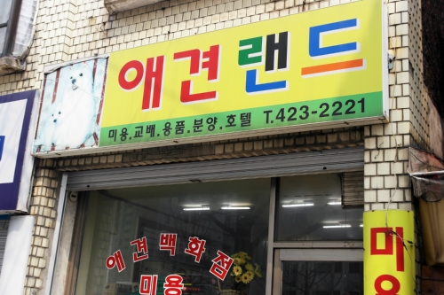 애견랜드 대표 이미지
