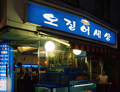 오징어세상 본점