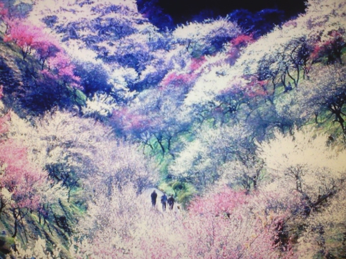 떡사랑