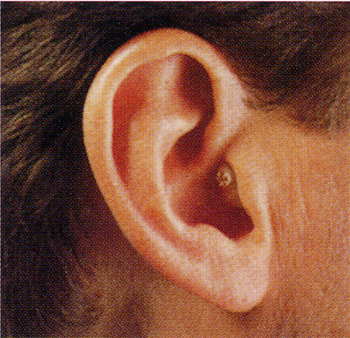 독일보청기 울산점