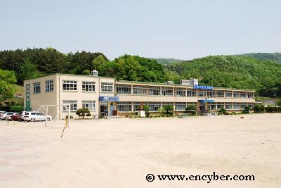 위례초등학교