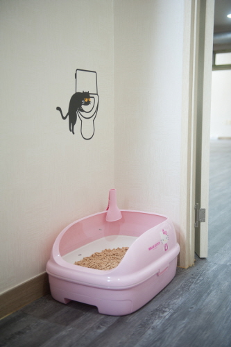 나비빵 고양이호텔 대표 이미지