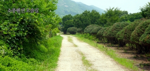소풍펜션