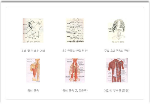 함수영건강지킴이