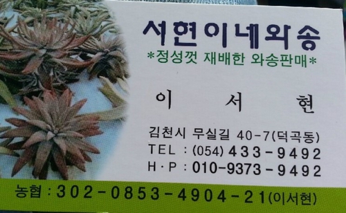 서현이네와송