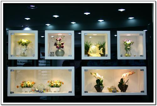 안경가족 고촌점 대표 이미지