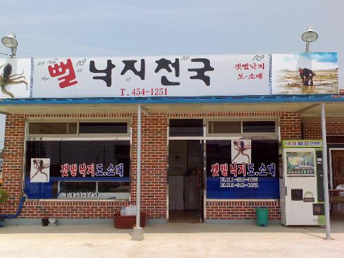 낙지천국