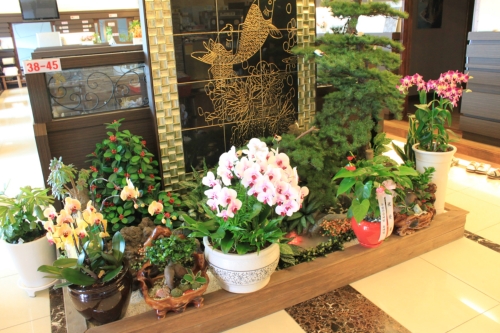 주왕산삼계탕