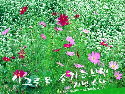 시티에너지