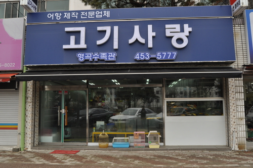 고기사랑