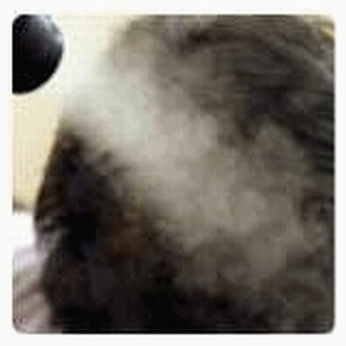 스팰라랜드 롯데마트검단점 대표 이미지