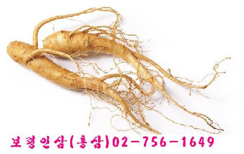 보령인삼