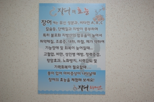 장어소풍가는날