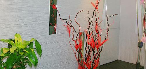 S성형외과의원 대표 이미지