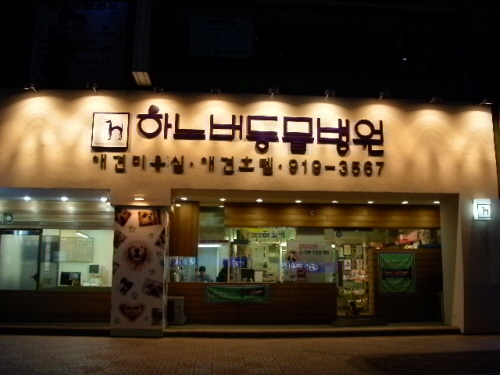 하노버동물병원 내부 또는 관련 모습