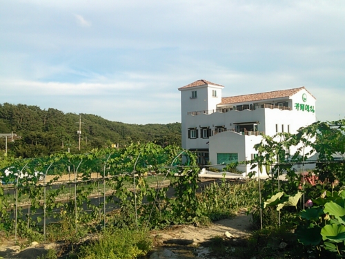 엘림